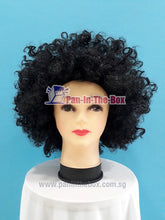 Load image into Gallery viewer, Short Black Afro Wig
