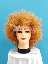 Load image into Gallery viewer, Short Blonde Afro Wig
