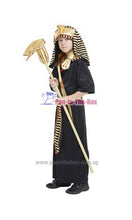 Load image into Gallery viewer, Pharaoh Kids Costume
