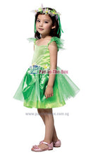 Load image into Gallery viewer, Green Fairy Kids Costume
