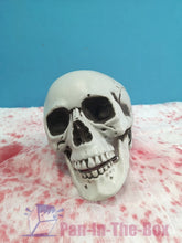 Load image into Gallery viewer, White Skull
