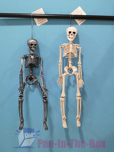 Mini Skeleton Decoration Set (2pcs)