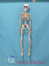 Load image into Gallery viewer, Mini Skeleton Decoration Set (2pcs)
