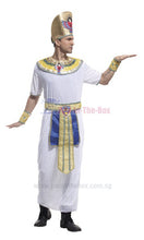 Load image into Gallery viewer, Pharaoh King Costume
