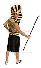 Load image into Gallery viewer, Pharaoh King Costume
