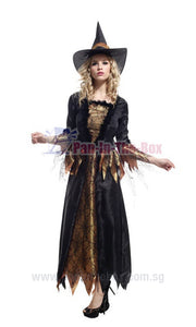 Noble Witch Costume