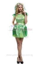 Load image into Gallery viewer, Green Fairy Costume
